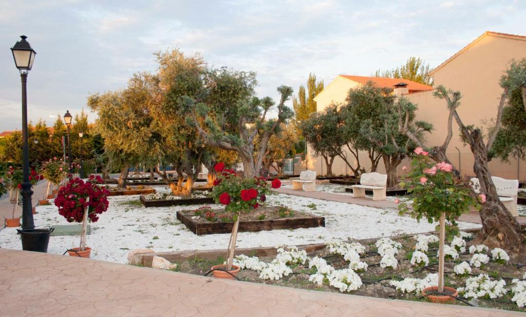 Las Olivas- Borox Aparthotel Seseña Nuevo Esterno foto
